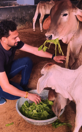 गौ सेवा